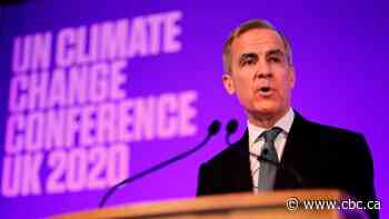 COVID-19 pandemic adds urgency to fight against climate change: Mark Carney