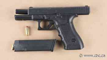 Peel police chief complains about justice system after Brampton man charged with 25 firearms offences