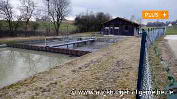 Bobinger Kläranlagen sollen mit Solaranlagen ausgestattet werden - Augsburger Allgemeine