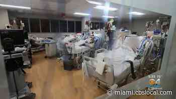 A Look At Coronavirus Variants - CBS Miami