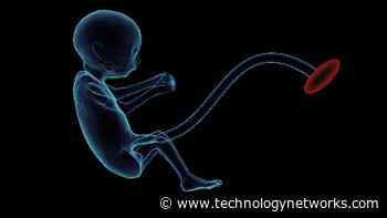 First Study of the Human Placenta's Genomic Architecture - Technology Networks