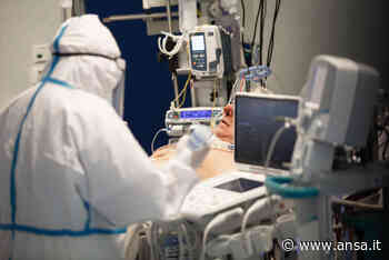 Covid: Ausl Modena, sempre più giovani in contagi e ricoveri - Agenzia ANSA