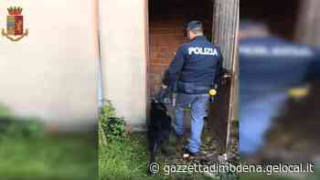 Operazione Sacca, colpo della polizia al traffico di droga a Modena. Dieci persone nei guai, tre in carcere - La Gazzetta di Modena