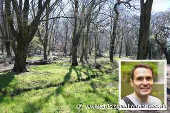 City of London Corporation's Epping Forest Committee chairman writes