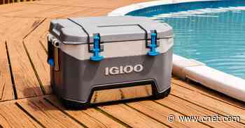 Which cooler gets the coldest? The results are in     - CNET