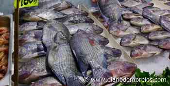 Auguran escasez de mojarra en Cuernavaca. Te decimos por qué - Diario de Morelos