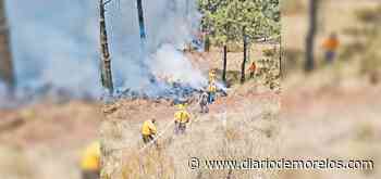 Controlan fuego en bosque de autopista México-Cuernavaca - Diario de Morelos
