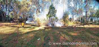 Implementa Cuernavaca programa contra incendios - Diario de Morelos