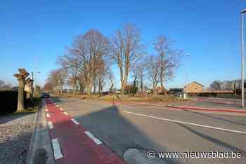 Vervallen gebouwen maken plaats voor groen project