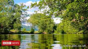 Hundreds of sewage leaks detected thanks to AI