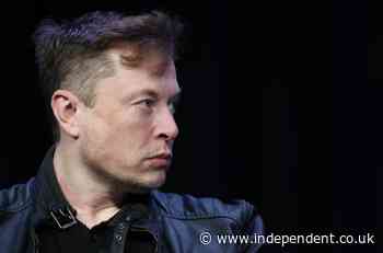 Hundreds of Tesla workers got Covid after Elon Musk reopened factory