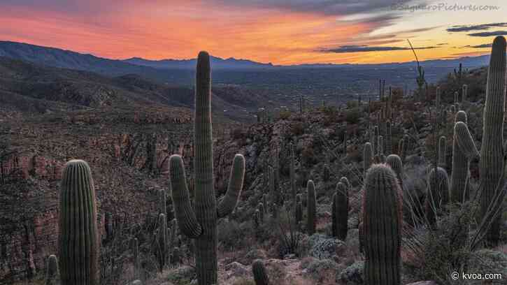 These cool temperatures will not last long in Southern Arizona