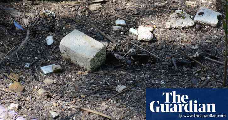 'It looks like snow': how Australia plans to fix the 'horrifying' blight of expanded polystyrene