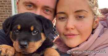 Millions buy pet in pandemic sparking food shortage and 'repercussions' warning - Mirror Online