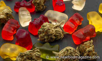 Deadline to submit novel food applications for CBD products extended - New Food