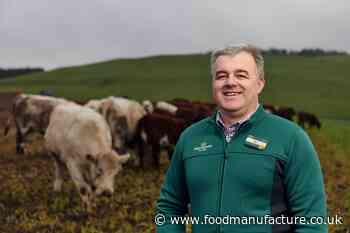 Morrisons invests in food factories and pursues green agenda - FoodManufacture.co.uk