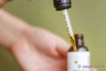 Criteria Updated for CBD Products as Novel Food Deadline Approaches - The Cannabis Exchange