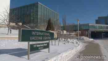 VIDO-InterVac takes steps forward in COVID-19 vaccine clinical trials