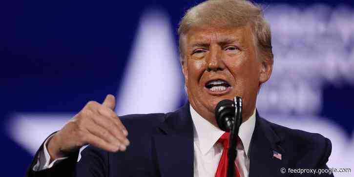 Trump hinted at Lara Trump's rumored Senate run during a speech at a fundraiser for dogs at Mar-a-Lago
