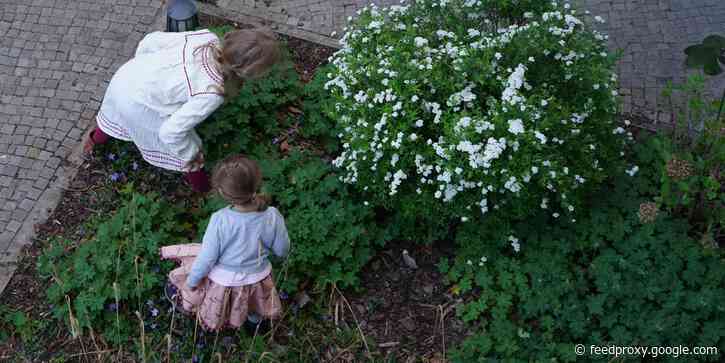 COVID-19 lockdowns may be preventing kids' immune systems from maturing, according to an immunologist