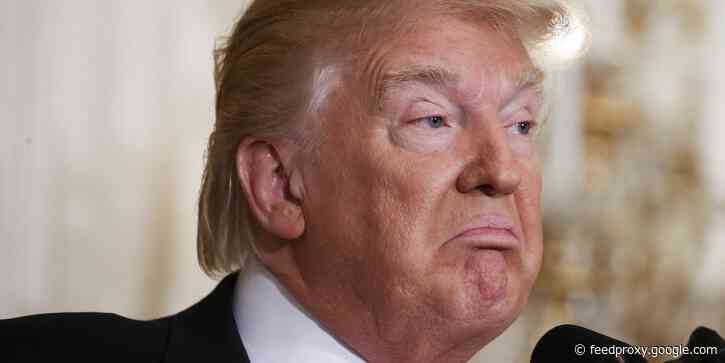 Trump's Twitter ban hurt him more than losing the election to Biden, his niece Mary says