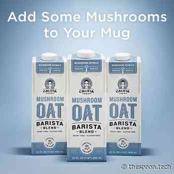 Food Tech News: New Mushroom Oat Milk, Eco Bricks and Koji Ravioli - The Spoon