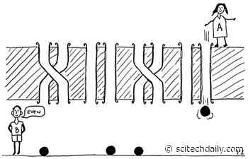 Playing Games With Quantum Interference to Solve a Mysterious Physics Puzzle