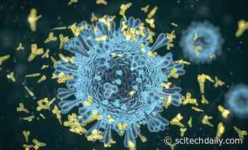 Why It Takes 2 Shots to Make mRNA Vaccines Do Their COVID-19 Antibody-Creating Best