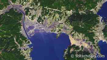 Ten Years After the Tsunami: One of the Hardest Hit Coastal Cities in Japan Is Still Working to Recover