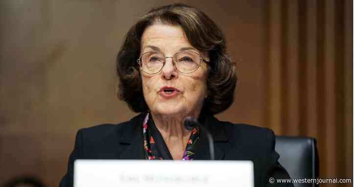 Feinstein Cites Growing ‘Domestic Terrorism’ as She Introduces Bill That Would Ban AR-15