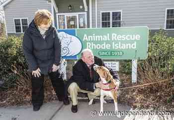 Animal Rescue Rhode Island welcomes back familiar face - The Independent