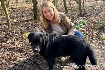 Dog owners scared to walk pets amid fears of dognapping – survey - Dudley News