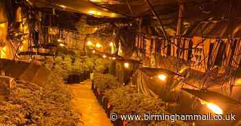 'Sophisticated' cannabis factory worth more than £500k discovered in Dudley - Birmingham Live