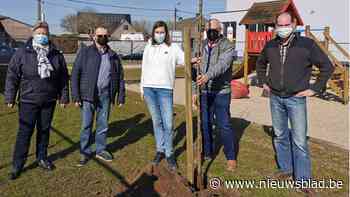 Beweging.net deelt 250 bomen uit aan Aalternaren (Aalter) - Het Nieuwsblad