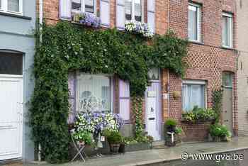 Groen wil aanleg van geveltuinen vergemakkelijken (Duffel) - Gazet van Antwerpen