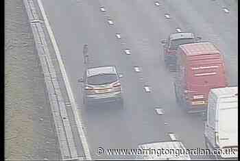 M6 closed temporarily  in both directions due to stray dog in road