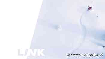 Sponsored Post. LINK: Agile Insights Management - Horizont.net