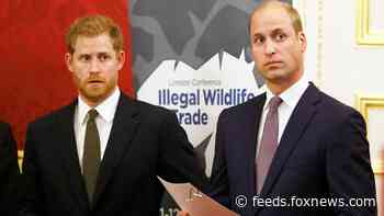 Prince Harry, Prince William will face challenges in reconciling, source says: 'Too much has happened'