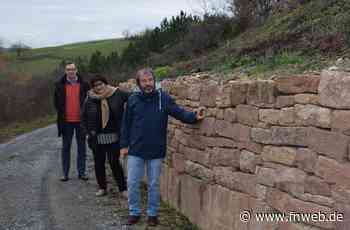 Biotop auf dem Werbacher Hirschberg geschaffen - Werbach - Nachrichten und Informationen - Fränkische Nachrichten