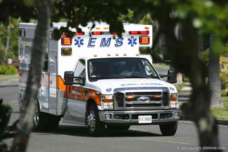 Man Killed In Motorcycle Crash In Murrysville