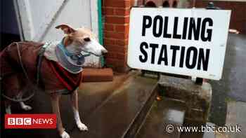 Local elections: Covid-19 pandemic 'biggest issue for voters'