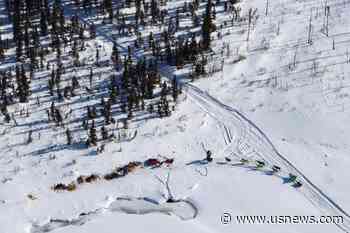 Dallas Seavey on the Cusp of 5th Title With Iditarod Lead