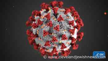 Can vaccinated people still spread coronavirus? | Health | clevelandjewishnews.com - Cleveland Jewish News