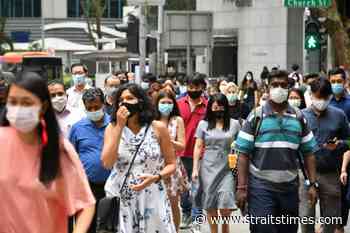 Seeking career coaching early can shorten your job search - The Straits Times