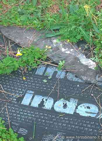 Erba incolta e sporcizia: degrado nel parco di Santa Marinella - TerzoBinario.it