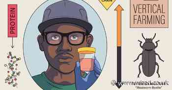 We don’t need to eat insects, but we could feed them to animals