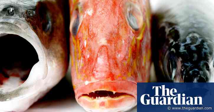 Is your fish a fake? How to spot seafood fraud and what to do if you're suspicious