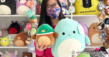 Squishmallows are selling out all over Toronto right now - blogTO