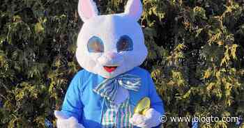 Toronto man offering to come to your house dressed as the Easter Bunny - blogTO