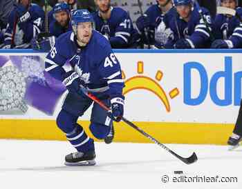 Toronto Maple Leafs: Lehtonen and Barabanov Experiment Is Over - Editor in Leaf